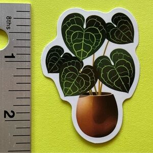 10/$10 Plant Aesthetic Sticker Waterproof Vinyl Water Bottle Laptop Crafts